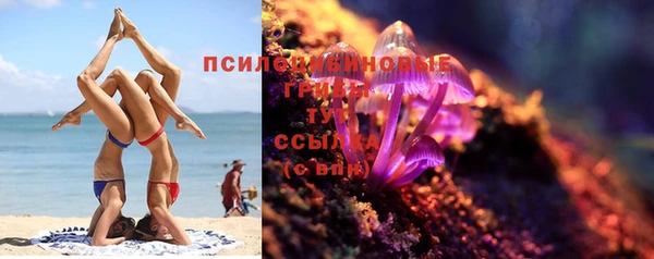 ешки Абинск