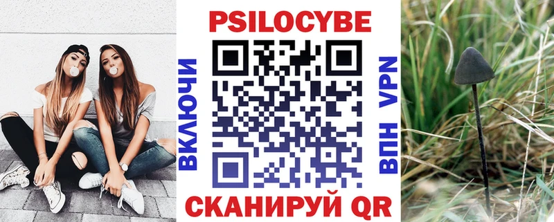 даркнет официальный сайт Тбилисская Псилоцибиновые грибы ЛСД купить наркотики сайты